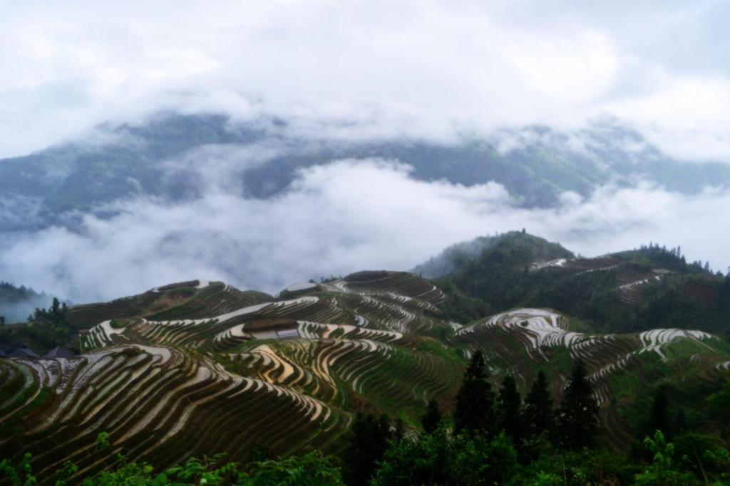 Long Ji International Youth Hostel Yha Longsheng Exterior photo